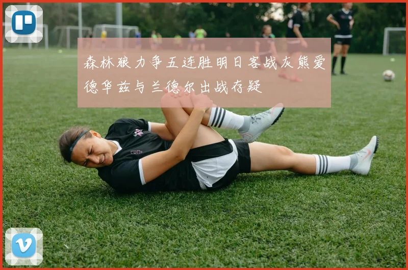 森林狼力争五连胜明日客战灰熊爱德华兹与兰德尔出战存疑